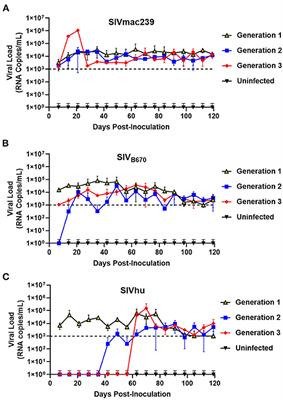 In vivo Infection Dynamics and Human Adaptive Changes of SIVsm-Derived Viral Siblings SIVmac239, SIVB670, and SIVhu in Humanized Mice as a Paralog of HIV-2 Genesis